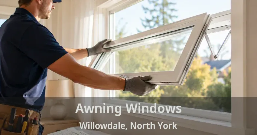 Awning Windows Willowdale, North York - ON
