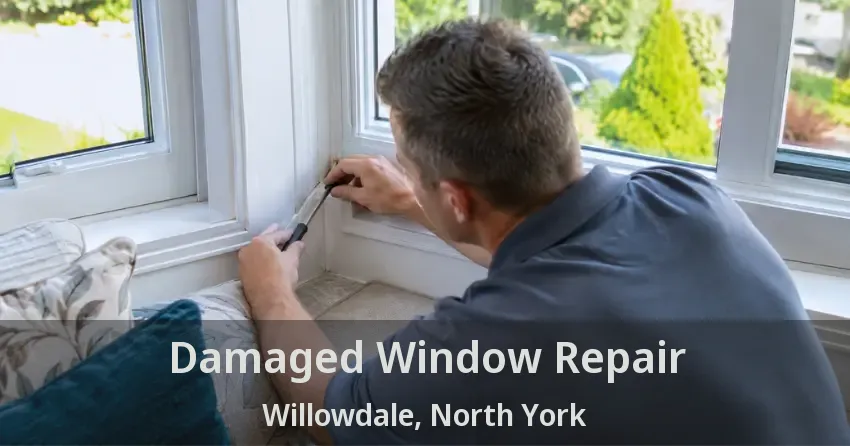 Damaged Window Repair Willowdale, North York - ON