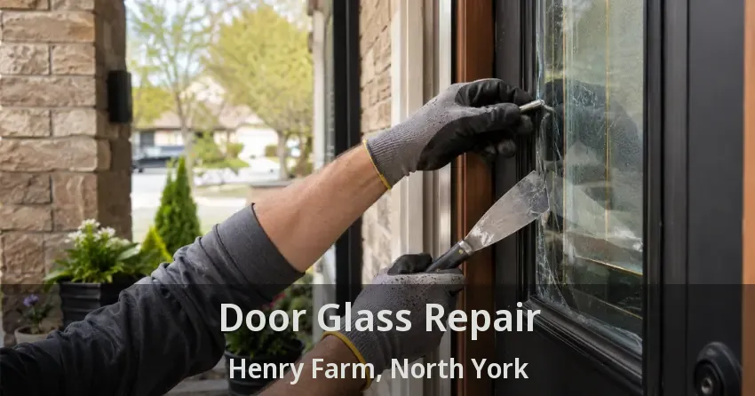 Door Glass Repair Henry Farm, North York - ON