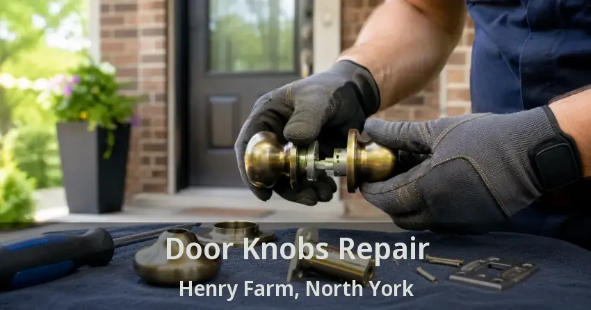 Door Knobs Repair Henry Farm, North York - ON