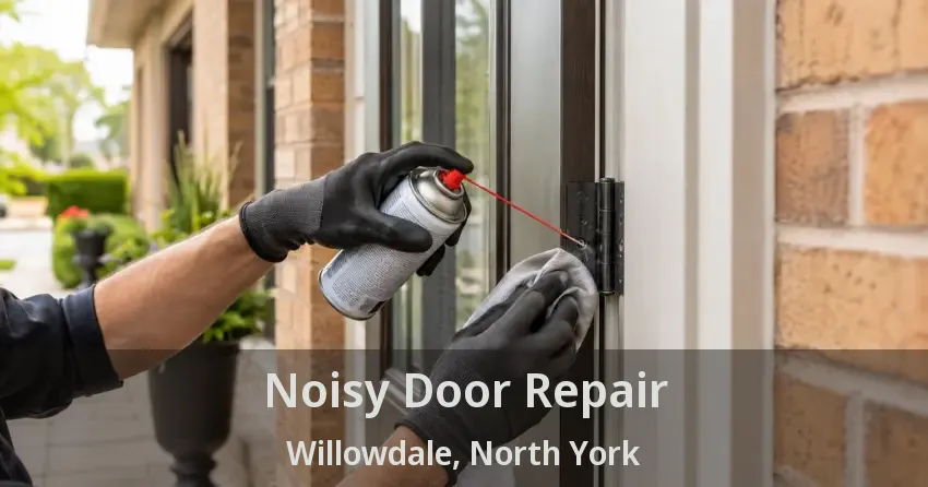 Noisy Door Repair Willowdale, North York - ON