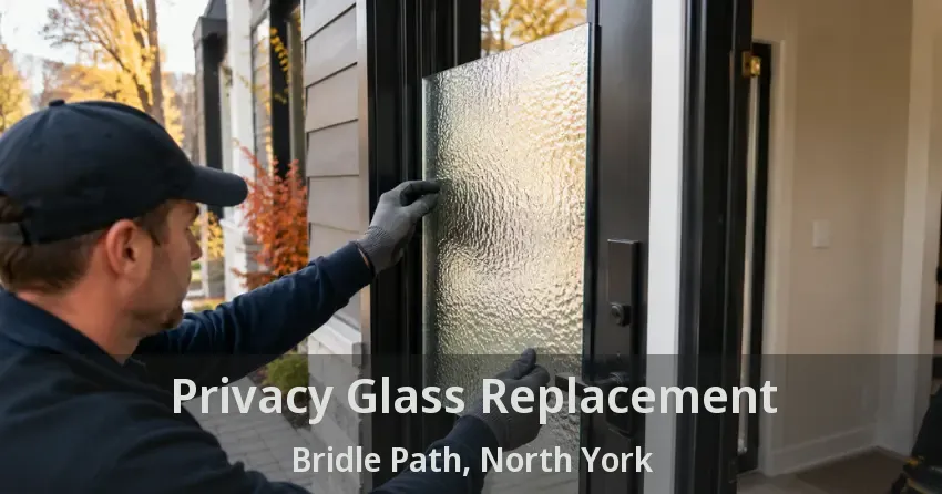 Privacy Glass Replacement Bridle Path, North York - ON